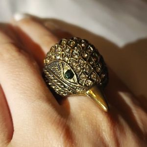 Bird ring